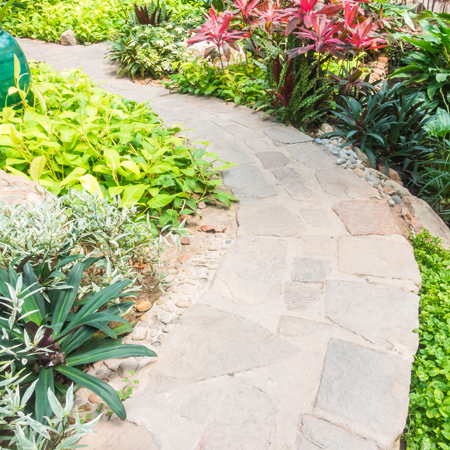 service single images