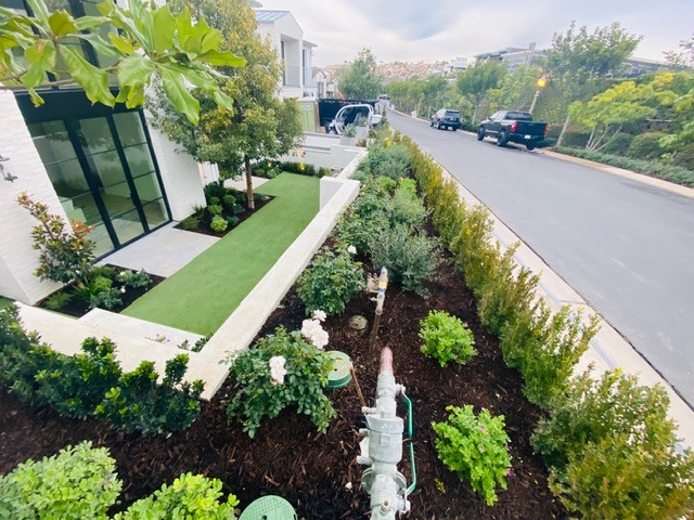 Landscape design and installation project