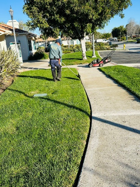 Lawn care and maintenance by Ruiz Landscape