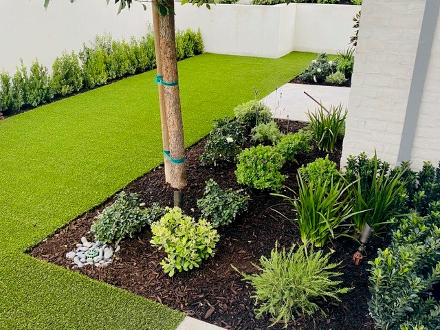 Lawn care and maintenance project