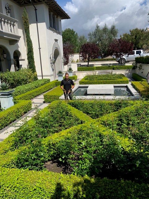 Tree and shrub care by Ruiz Landscape